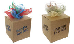 Office Fitness with Cardio in a Box